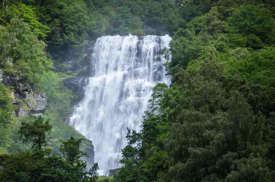 The spectacular Dudhsagar Falls cascading down the mountains.