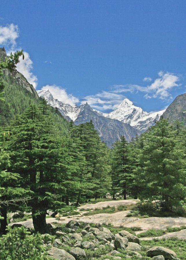 5 Offbeat Hill Stations Near Delhi for an Unforgettable Road Trip in 2026