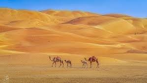 Majestic Liwa Desert, Abu Dhabi.