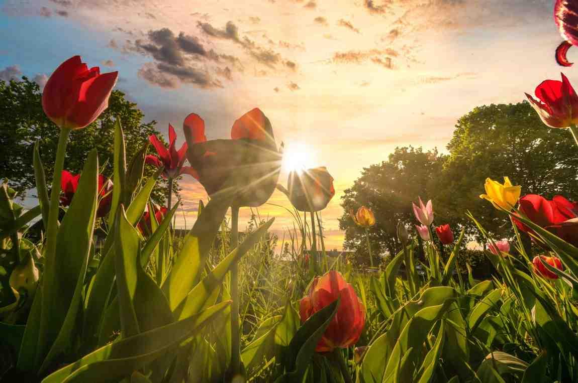 A graphic showing how trip planner artificial intelligence connects data points for a UK trip.